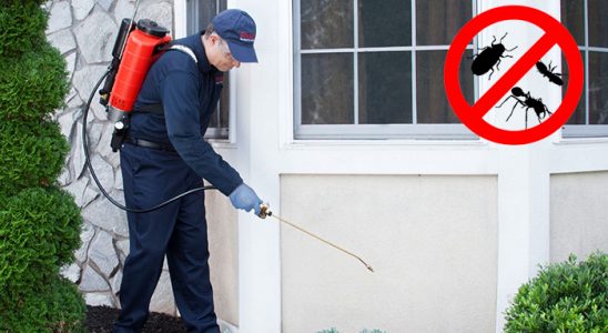 İpekyolu Hamam Böceği İlaçlama böcek ilaçlama ve haşere kontrolü — ilaclama-tr.com